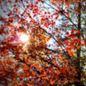 Meet your Posher, 111sophiiee